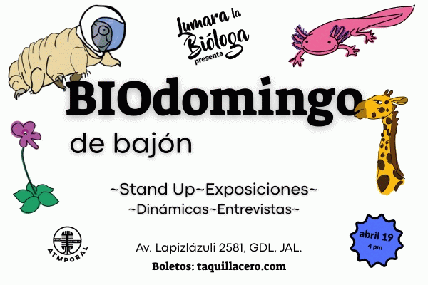 img_BIOdomingo de Bajon